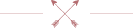 Crossed Arrows Icon